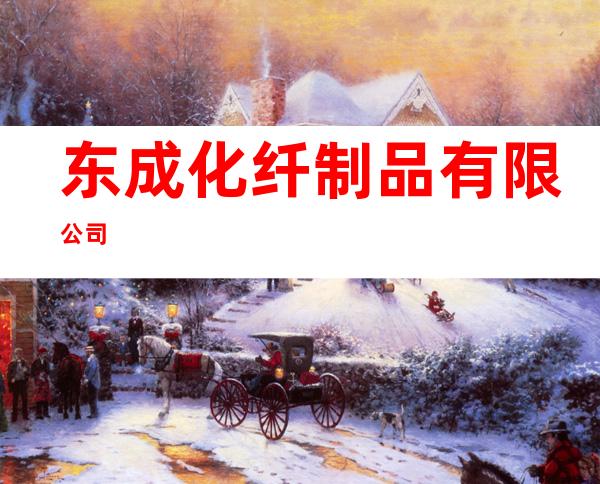 东成化纤制品有限公司