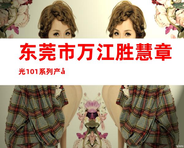 东莞市万江胜慧章光101系列产品经营店