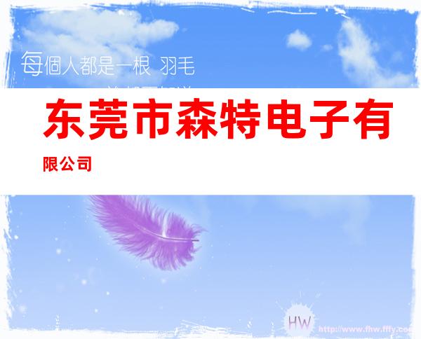 东莞市森特电子有限公司