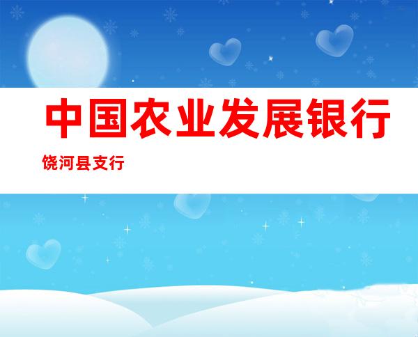 中国农业发展银行饶河县支行