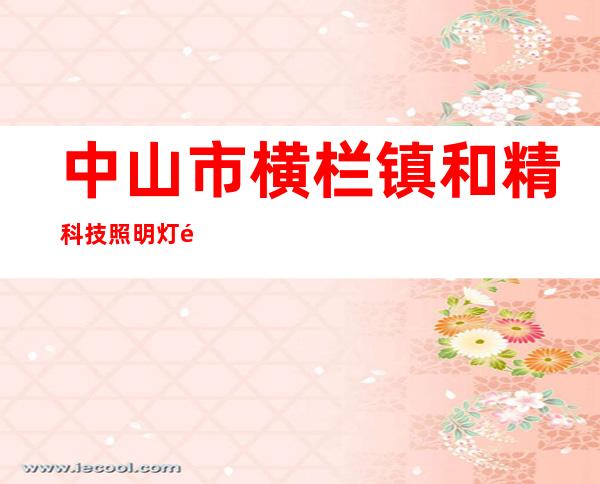 中山市横栏镇和精科技照明灯饰厂
