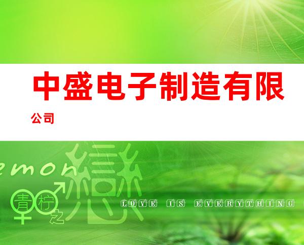 中盛电子制造有限公司