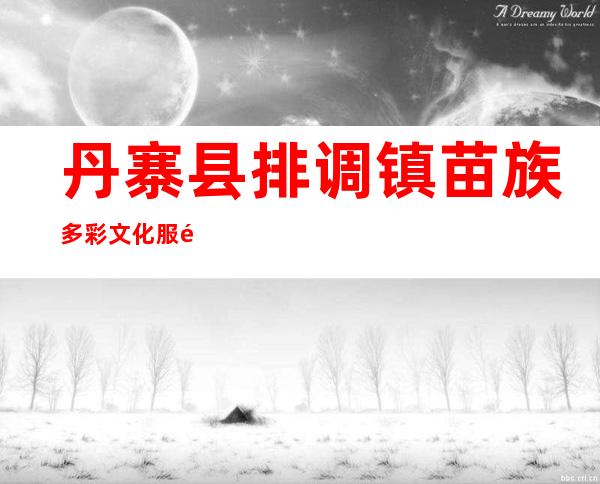 丹寨县排调镇苗族多彩文化服饰店