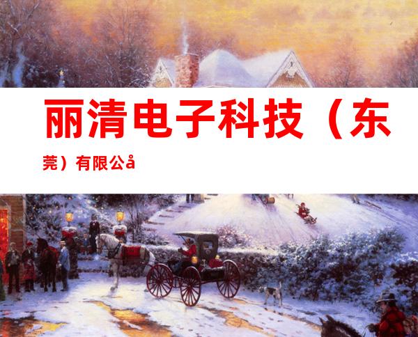 丽清电子科技(东莞)有限公司