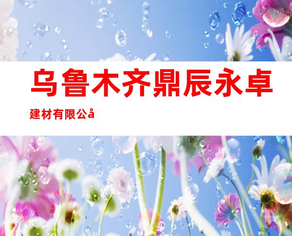 乌鲁木齐鼎辰永卓建材有限公司