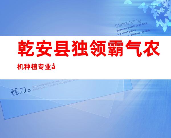 乾安县独领霸气农机种植专业合作社