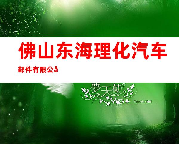 佛山东海理化汽车部件有限公司