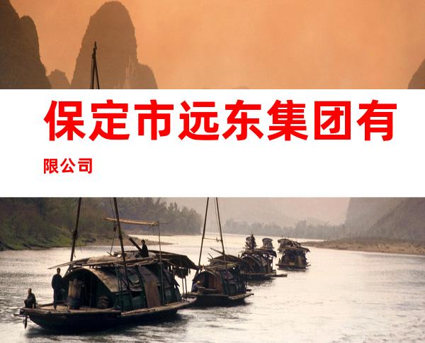保定市远东集团有限公司