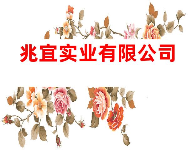 兆宜实业有限公司