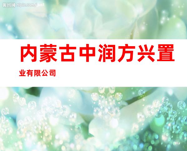 内蒙古中润方兴置业有限公司
