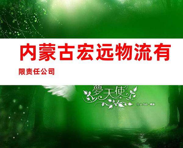 内蒙古宏远物流有限责任公司