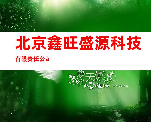 北京鑫旺盛源科技有限责任公司