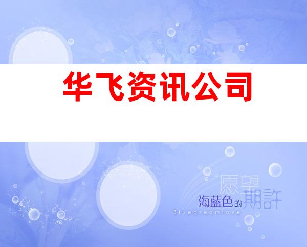 华飞资讯公司