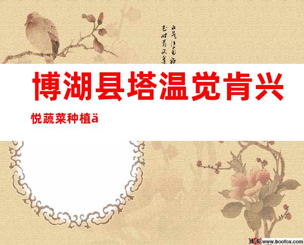 博湖县塔温觉肯兴悦蔬菜种植专业合作社