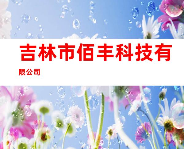 吉林市佰丰科技有限公司