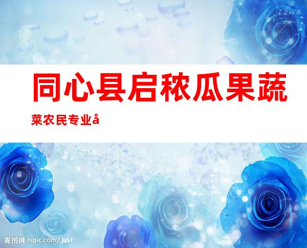 同心县启秾瓜果蔬菜农民专业合作社