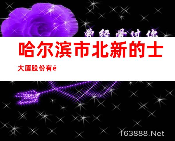 哈尔滨市北新的士大厦股份有限公司