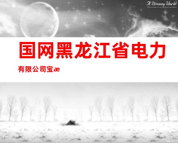 国网黑龙江省电力有限公司宝清县供电分公司