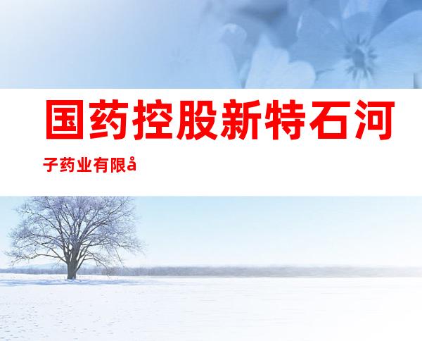 国药控股新特石河子药业有限公司