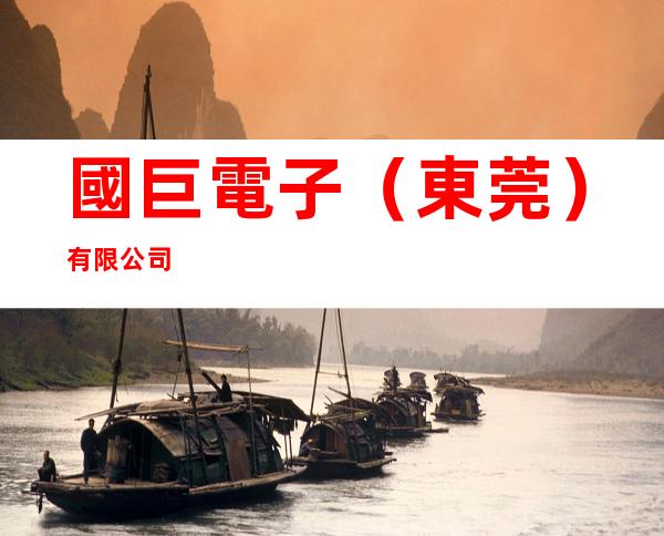 國巨電子（東莞）有限公司