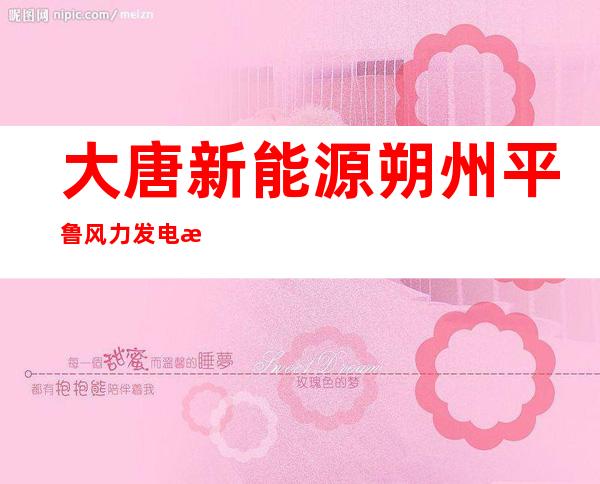 大唐新能源朔州平鲁风力发电有限公司