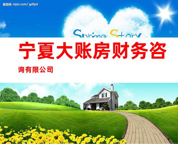 宁夏大账房财务咨询有限公司