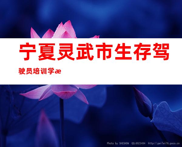 宁夏灵武市生存驾驶员培训学校