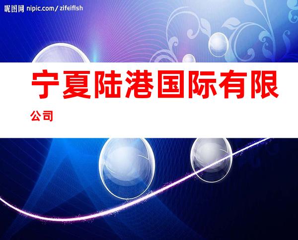 宁夏陆港国际有限公司