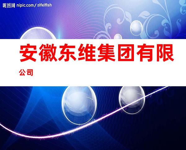 安徽东维集团有限公司