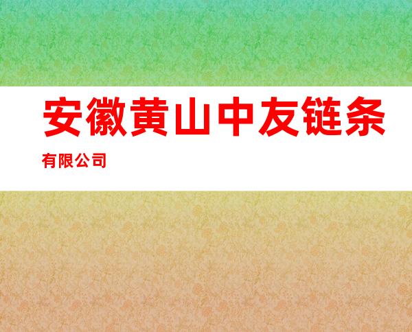 安徽黄山中友链条有限公司