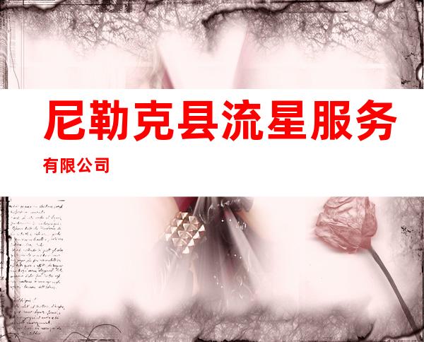 尼勒克县流星服务有限公司