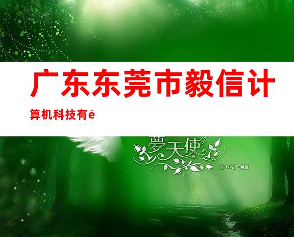 广东东莞市毅信计算机科技有限公司
