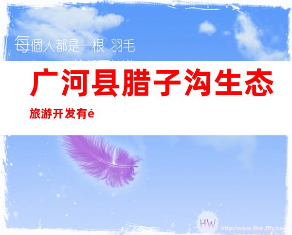 广河县腊子沟生态旅游开发有限公司