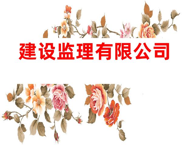 建设监理有限公司