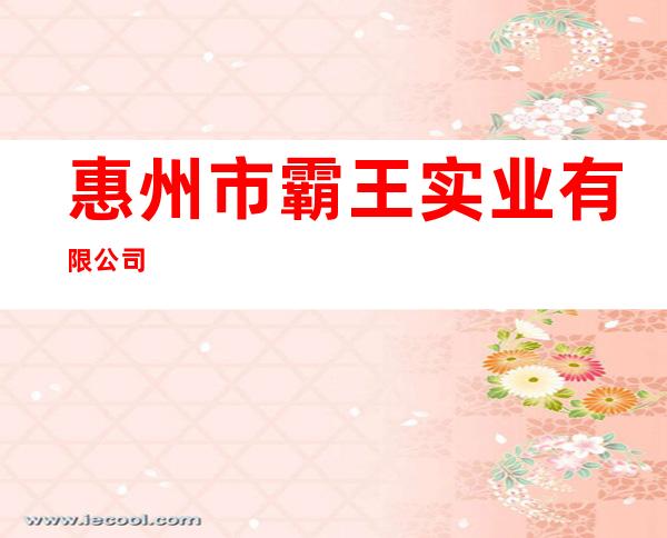 惠州市霸王实业有限公司