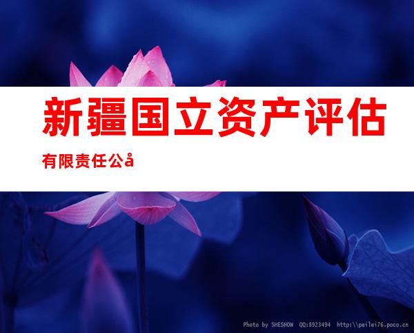 新疆国立资产评估有限责任公司