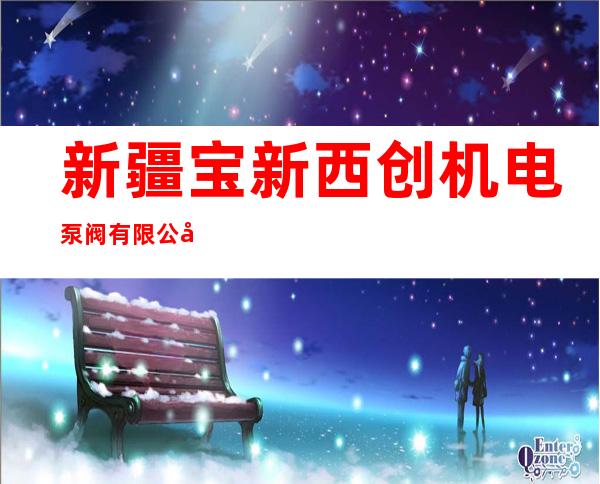 新疆宝新西创机电泵阀有限公司