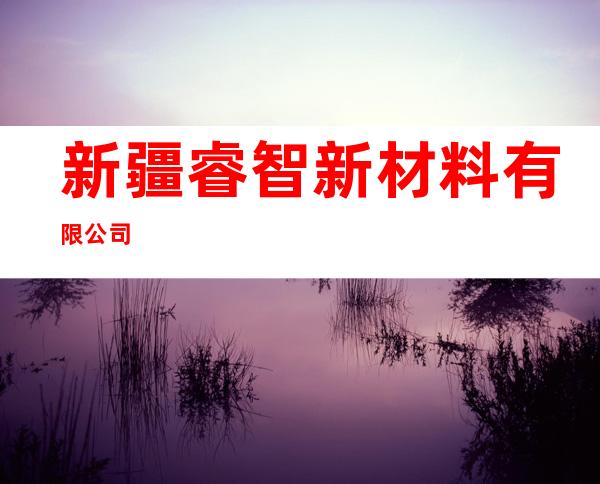 新疆睿智新材料有限公司