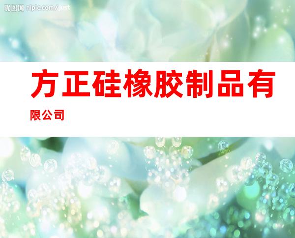方正硅橡胶制品有限公司