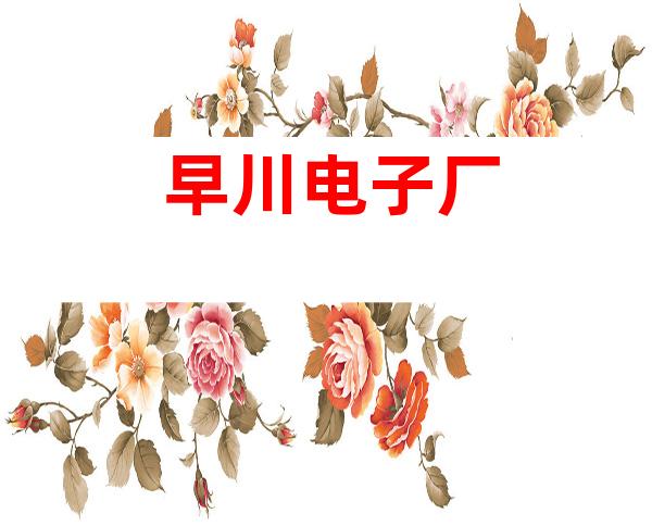 早川电子厂