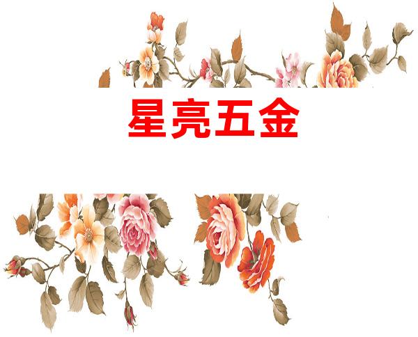 星亮五金