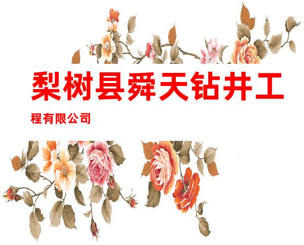 梨树县舜天钻井工程有限公司