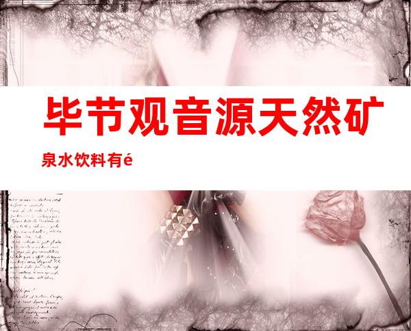 毕节观音源天然矿泉水饮料有限公司