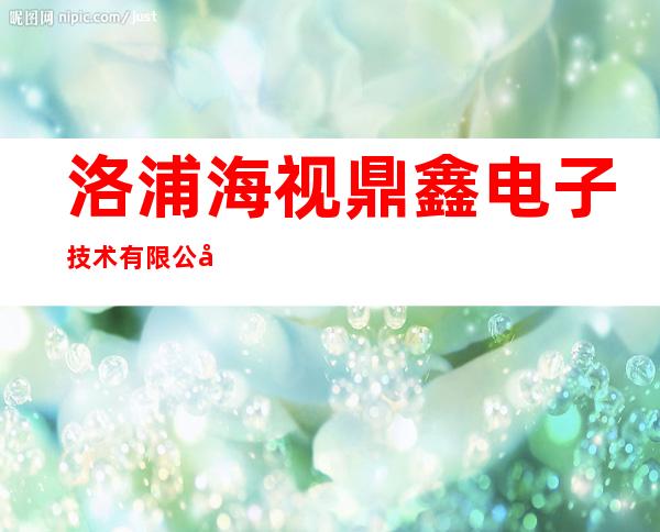 洛浦海视鼎鑫电子技术有限公司