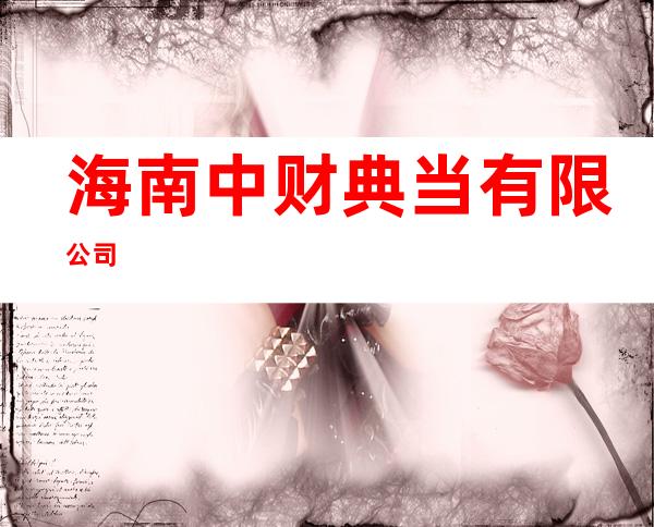 海南中财典当有限公司