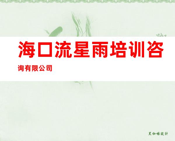 海口流星雨培训咨询有限公司