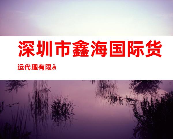 深圳市鑫海国际货运代理有限公司