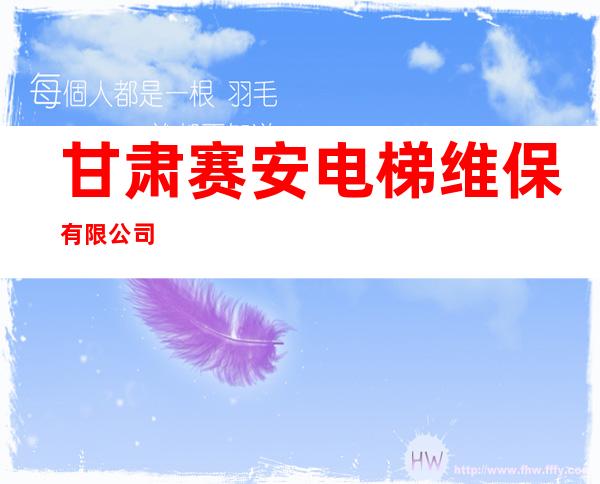 甘肃赛安电梯维保有限公司