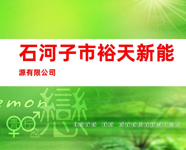 石河子市裕天新能源有限公司