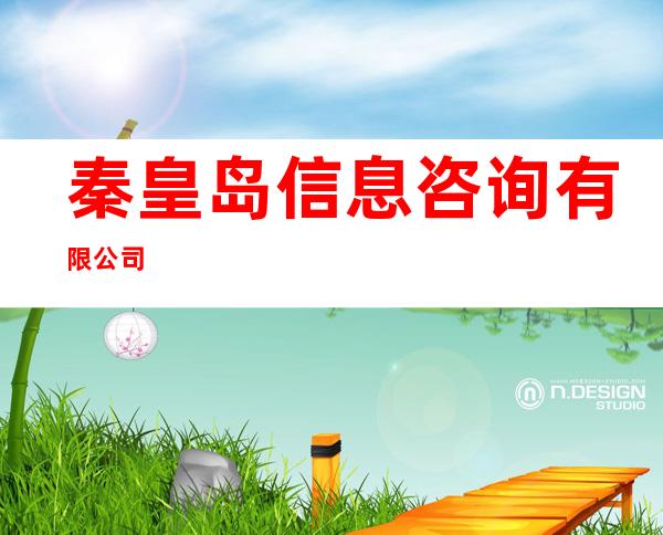 秦皇岛信息咨询有限公司